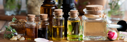 Essential Oils and their Power to your Sensory Wellness - A Guide to Essential Oils