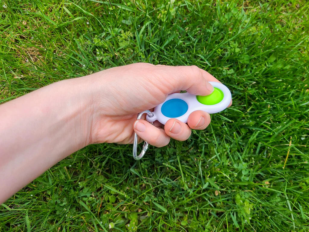 Bubble Popper Keychain Fidget 03